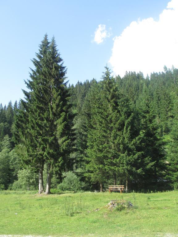 Schwarzenbacher Lungötz Zimmer foto